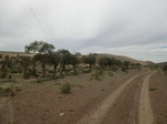 37062CIMG0858.JPG