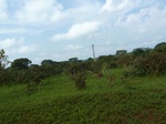 19728P1010577.JPG