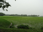 22097DSC00338.JPG