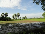 26044DSC00464.JPG