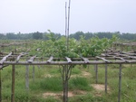 34612RIMG0079.JPG