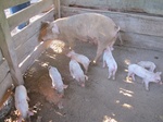 32028IMG_5700.JPG