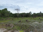 55084Berau (402).JPG