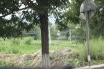 2024-08-05_16-28-16_90F24E5B-DE65-4959-81E1-89AD98F3CDEC.jpeg
