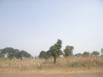 9067RIMG0147.JPG
