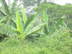 48343CIMG4680.JPG