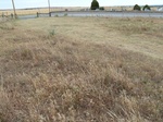 39182CAMA20110712E.JPG