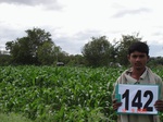 68920142c-irrigated-supplemental-groundwater-pomogranate-dominant-maize.jpg