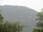 47698CIMG4035.JPG