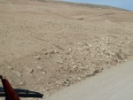 24365P1010858.JPG