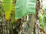 18445P1000281.JPG