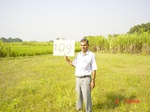 6651gt109-cropland-1.jpg