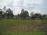34382IMG_5296.JPG