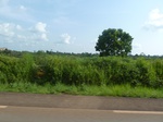 19844P1010694.JPG