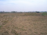 4633RIMG0064.JPG
