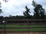 32373p105_s.jpg