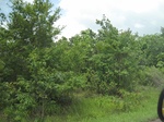 33367IMG_5707.JPG