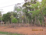 31906IMG_5327.JPG