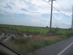 26693IMG_3318.JPG