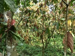 46533CIMG0822.JPG