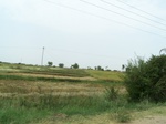 1687402052008(32).JPG