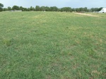 54032KIN220120601GPS.JPG