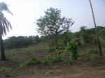4043RIMG0347.JPG