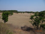 51936Tank ID 1800270 Thippanahalli 1.JPG