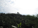 14698IMG_5080.JPG
