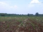 28273RIMG0275.JPG