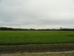 26127DSC01168.JPG