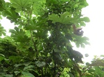 45540CIMG2625.JPG