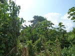 25802P1020221.JPG