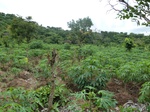21008P1020878.JPG