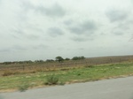 35397DSC02909.JPG
