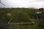 25994cener-2-IMG_1340.JPG