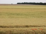 29788CIMG1148.JPG