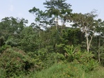 49711CIMG6048.JPG
