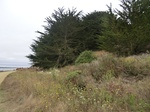 55648CIMG2423.JPG