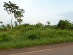 19876P1010726.JPG