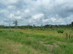 20352P1020209.JPG