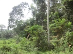 47684CIMG4021.JPG