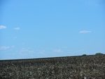 28990CIMG0689.JPG