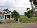 31334CIMG1196.JPG
