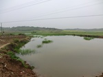 51660CIMG0467.JPG