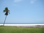 15443IMG_4319.JPG
