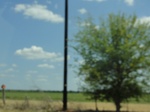 35109DSC02312.JPG
