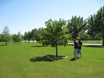 8727IMG_3894.JPG