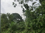 49663CIMG6000.JPG