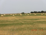 29810CIMG1201.JPG